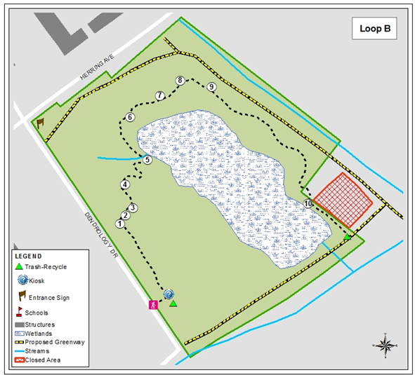 Educational Forest (Loop-B)