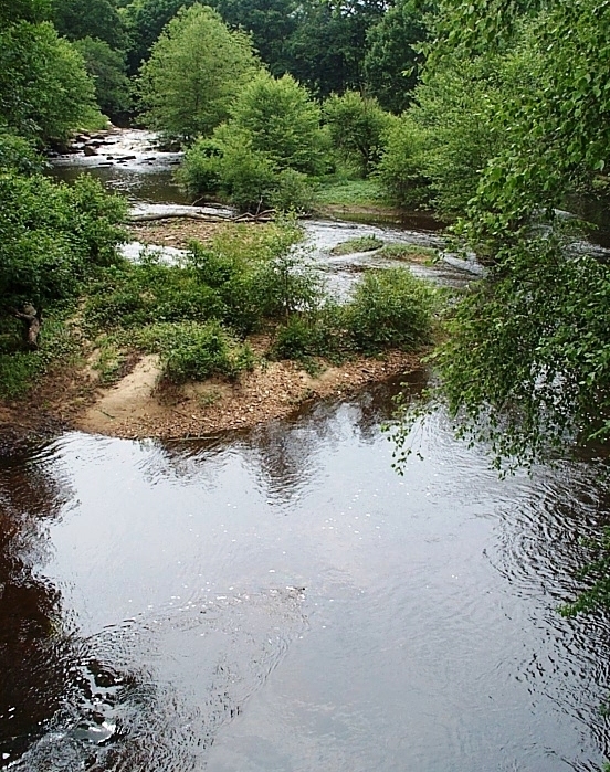 Contentnea Creek